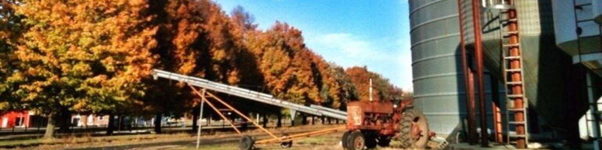 Fall on the farm. I love these rural scenes, juxtaposing nature and man made equipment.
#michigan #puremichigan #fall #farm #ruralscenes #autumn #tractor #patricklaughlinphotos