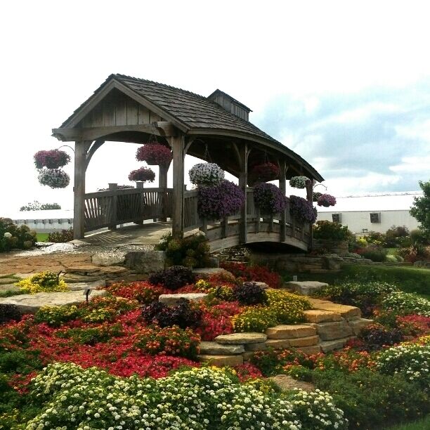 The display gardens at Four Star Greenhouses are free and open to the public and available to rent out for weddings. 