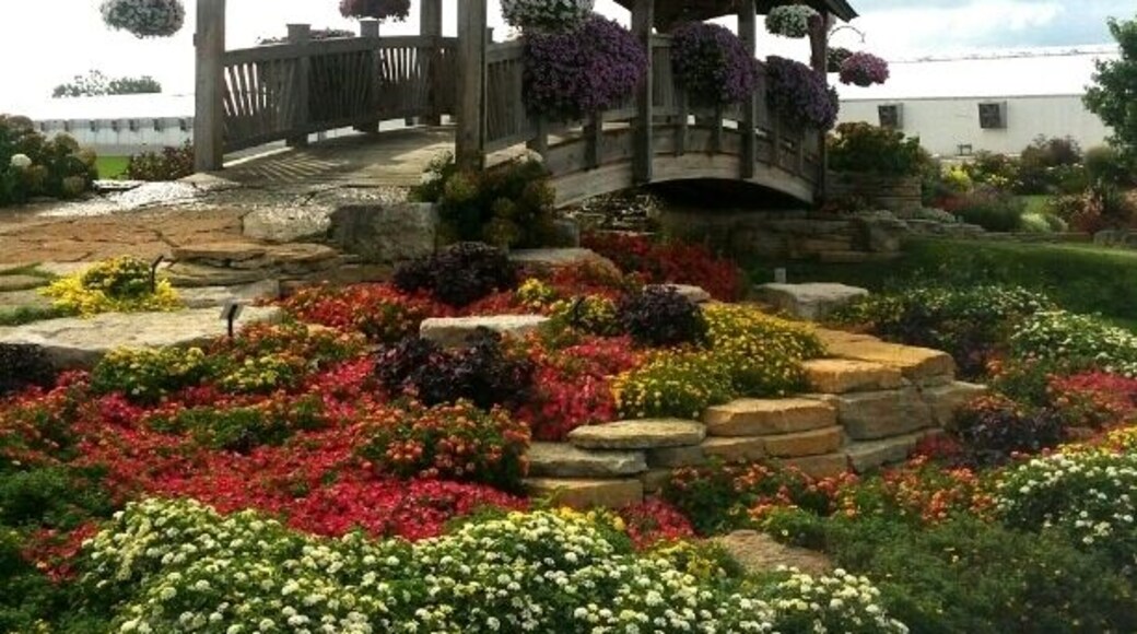 The display gardens at Four Star Greenhouses are free and open to the public and available to rent out for weddings.
