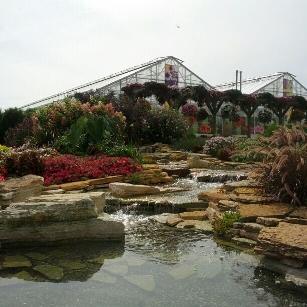 The display gardens at Four Star Greenhouses are free and open to the public and available to rent out for weddings.