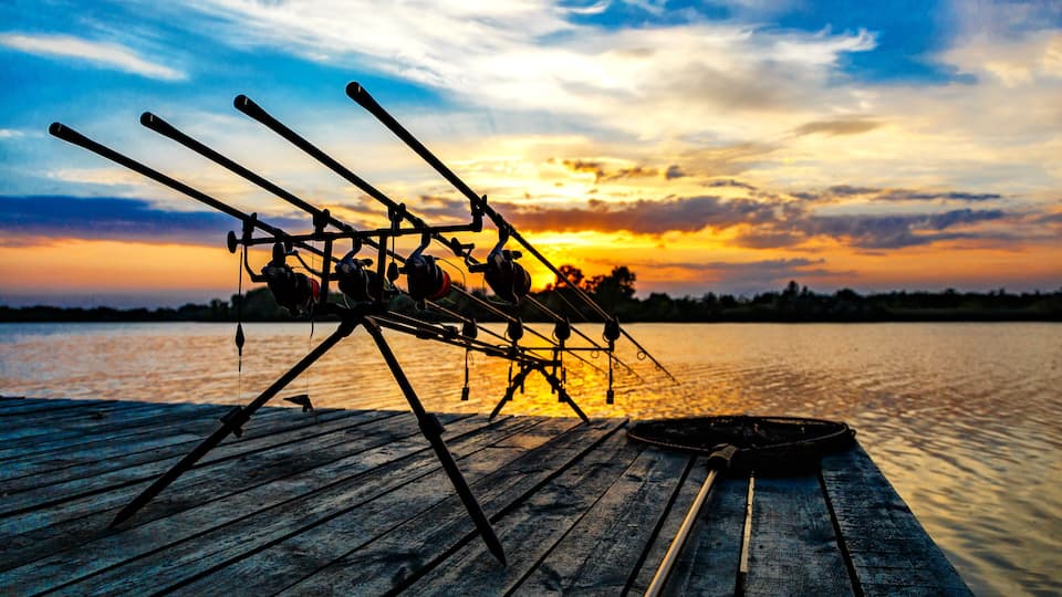 Carpfishing session at the Lake.Carp fishing rods standing on special tripods.Scenic landscape overlooking lake at Dawn.Fishing adventures, carp fishing.