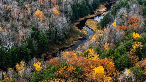 A river winding through a forest with autumn foliage.