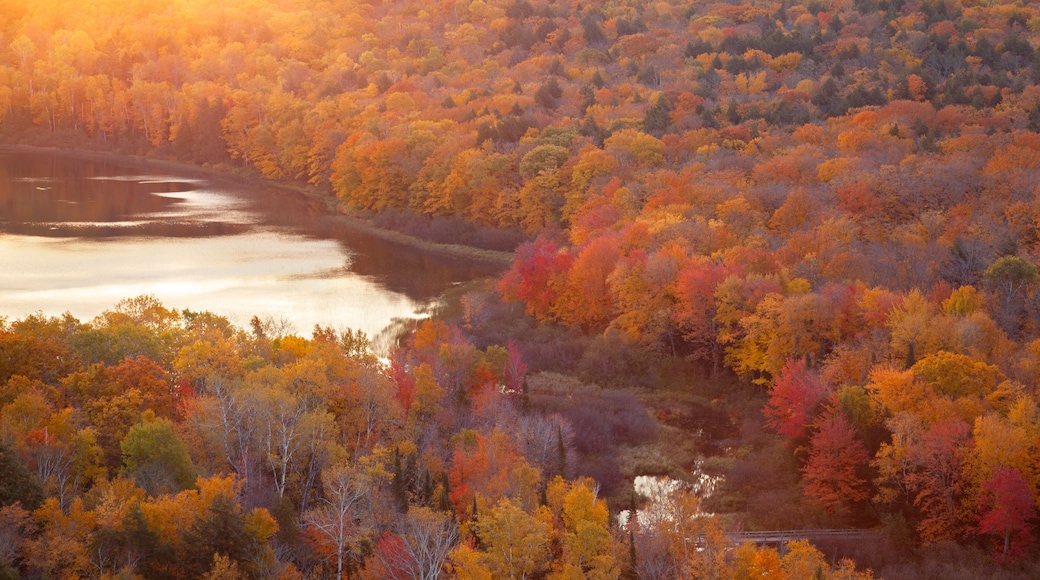 High angle view of trees in autumn color and a lake at sunrise