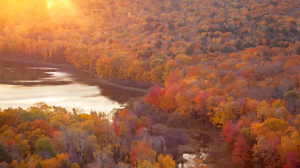 High angle view of trees in autumn color and a lake at sunrise