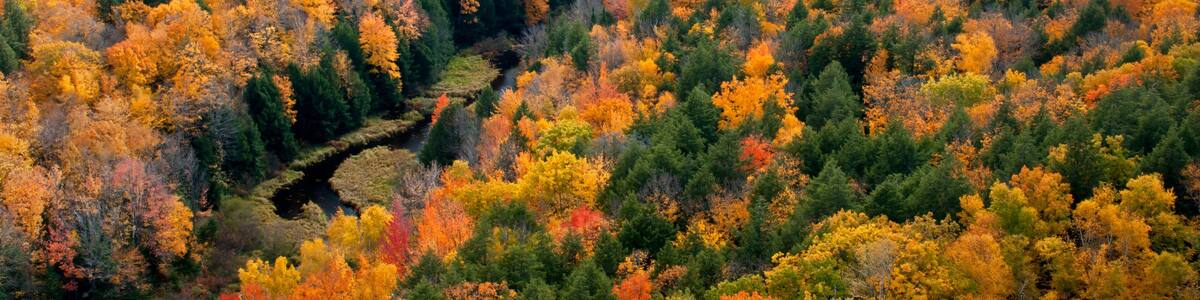 View of the Carp River Valley and autumn colors from the Lake of the Clouds Scenic Overlook, Porcupine Mountains Wilderness State Park, Michigan.