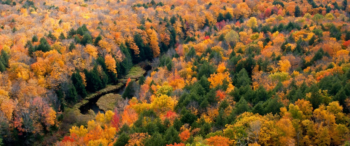 View of the Carp River Valley and autumn colors from the Lake of the Clouds Scenic Overlook, Porcupine Mountains Wilderness State Park, Michigan.