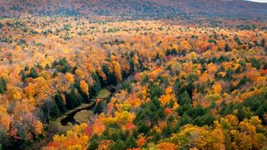 View of the Carp River Valley and autumn colors from the Lake of the Clouds Scenic Overlook, Porcupine Mountains Wilderness State Park, Michigan.