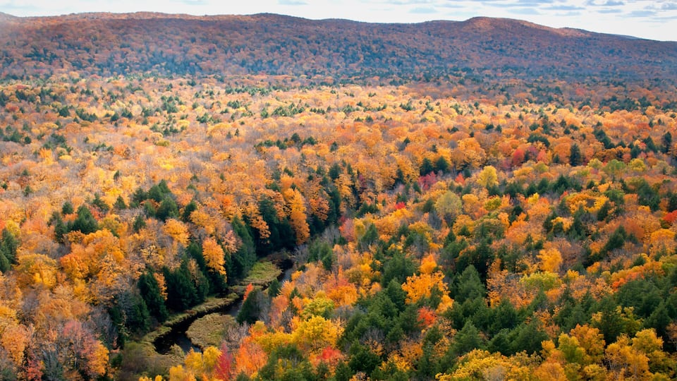 View of the Carp River Valley and autumn colors from the Lake of the Clouds Scenic Overlook, Porcupine Mountains Wilderness State Park, Michigan.