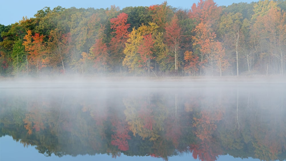 Ein ruhiger See, der Herbstbäume mit rotem, gelbem und grünem Laub spiegelt.