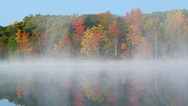 A calm lake reflecting autumn trees with red, yellow, and green foliage.