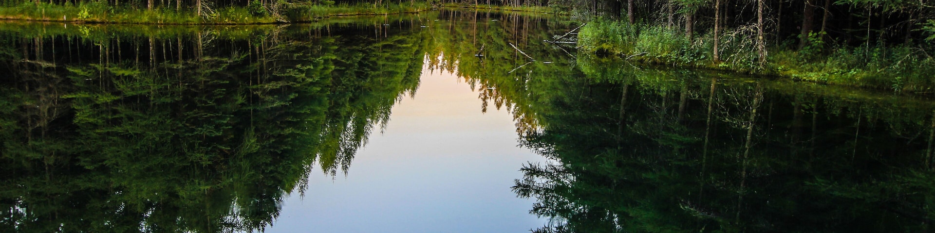Wilderness Forest River Reflections. River flows through the wilderness of Michigan's Upper Peninsula forest. The river flows from Kitch iti kipi spring into Indian Lake. Palms Book State Park.