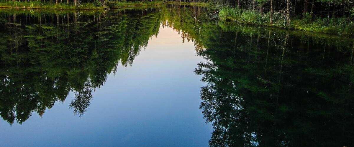 A calm lake surrounded by dense evergreen trees reflecting the sky.