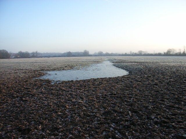 Farmland south of Waltham St Lawrence.