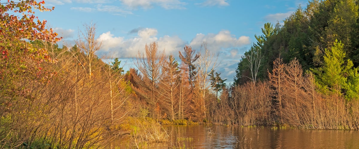 A calm river surrounded by autumn trees and a clear sky.