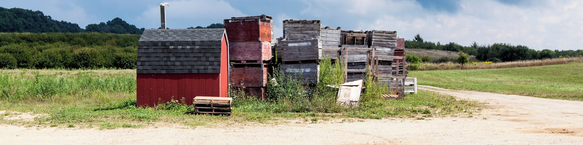 Agricultural Fruit Baskets in the farm field in Coloma, MI