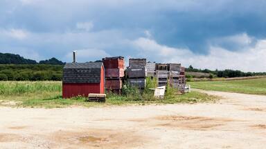 Agricultural Fruit Baskets in the farm field in Coloma, MI