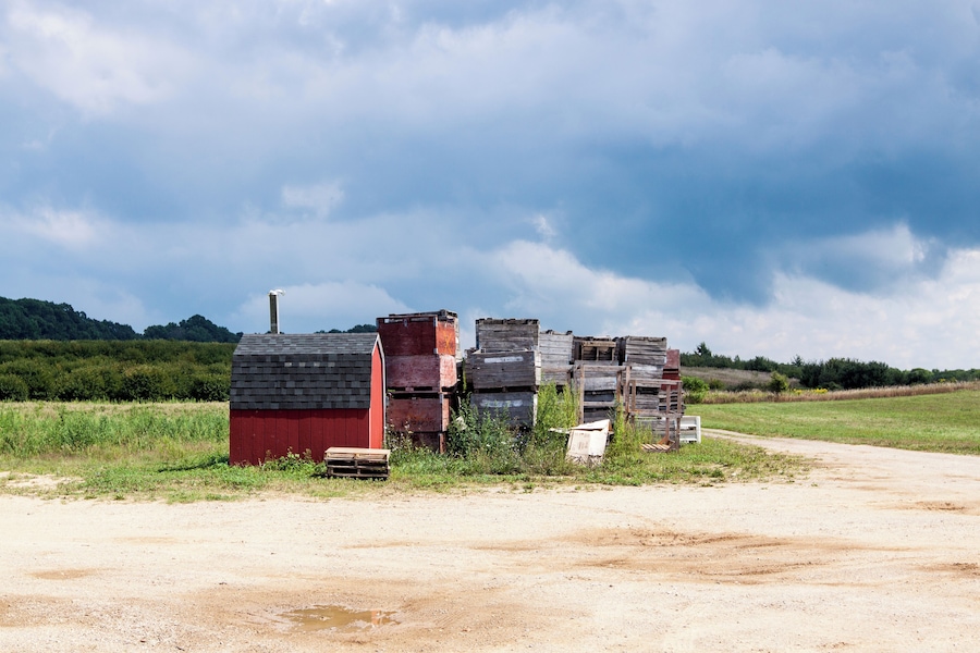 Agricultural Fruit Baskets in the farm field in Coloma, MI