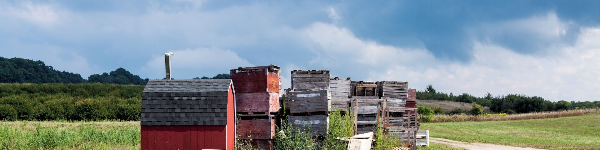 Agricultural Fruit Baskets in the farm field in Coloma, MI