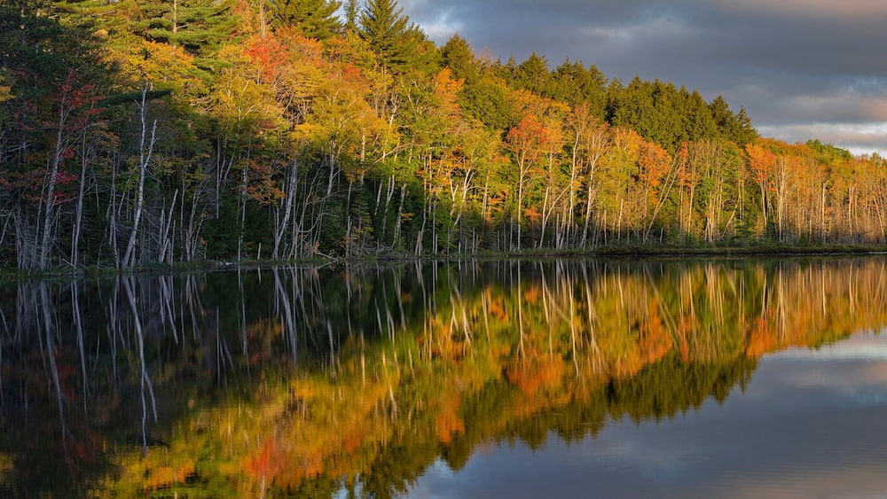 Un lac paisible où se reflètent les arbres aux couleurs automnales et un ciel nuageux.