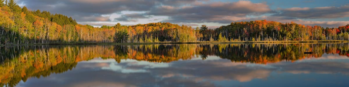 Ein ruhiger See, der Herbstbäume und einen bewölkten Himmel spiegelt.