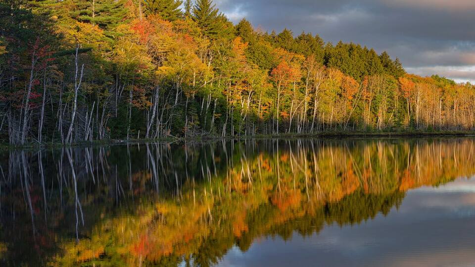 A calm lake reflecting autumn trees and a cloudy sky.