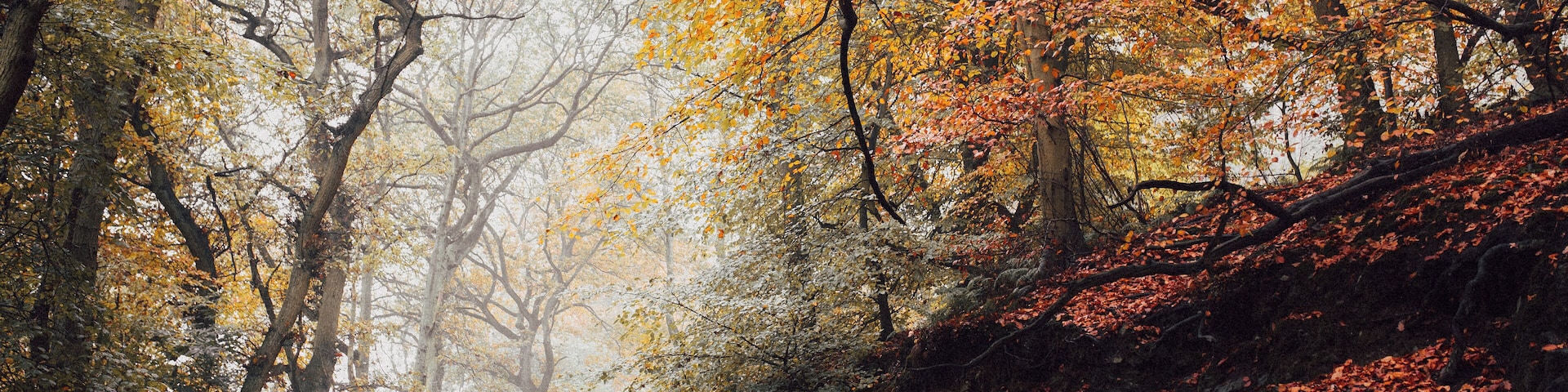 The Wrekin, Telford, United Kingdom