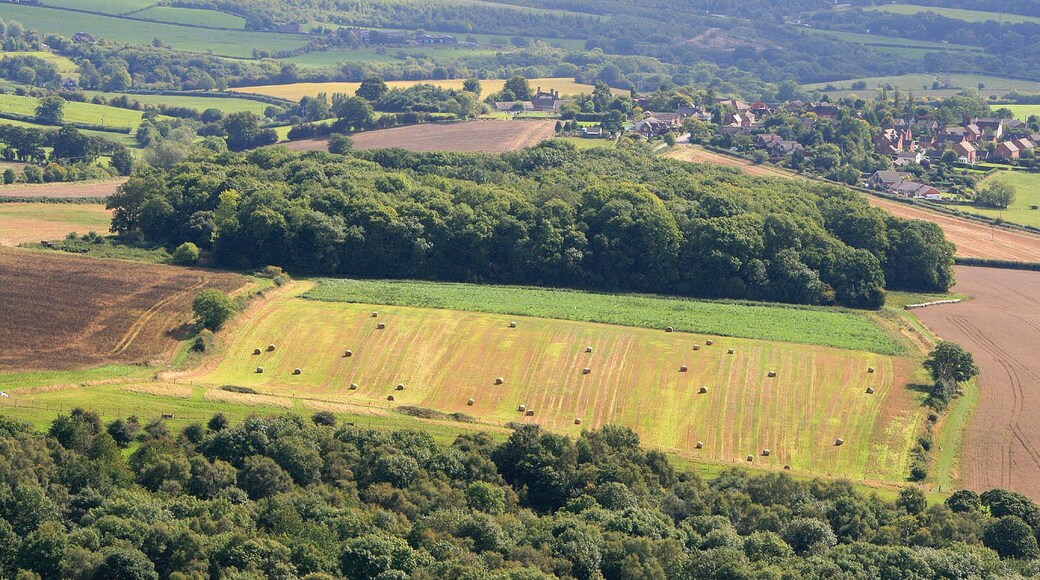 Old Quarry Plantation and Little Wenlock, near to Little Wenlock, Telford And Wrekin, Great Britain. From about a mile away on The Wrekin.