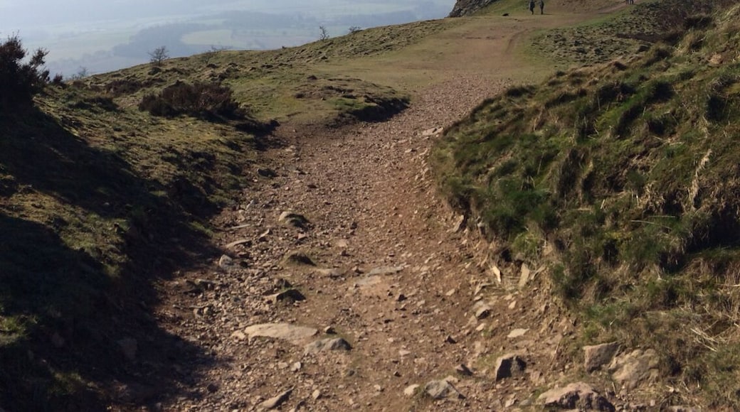 The top of Wrekin nearly
