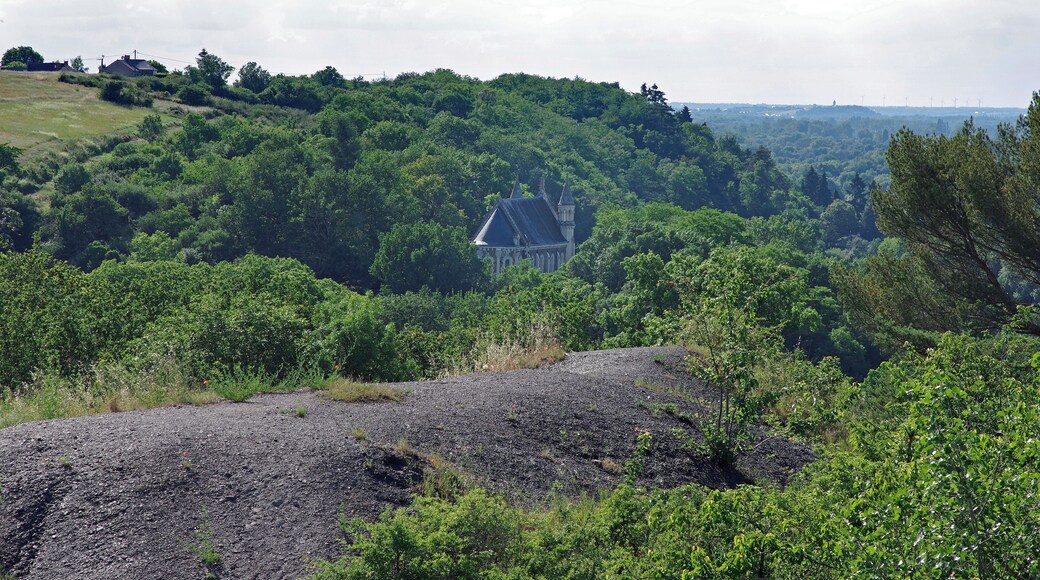 Chaudefonds-sur-Layon (Maine-et-Loire) Mine de charbon des Malécots. Le crassier et la chapelle Sainte-Barbe, chapelle des mineurs. Cette mine de charbon a fermé en 1964. Ce fut la dernière mine en activité du bassin houiller de la Basse Loire, sillon houiller fusiforme allant de Nort-sur-Erdre en Loire-Atlantique à Doué-la-Fontaine en Maine-et-Loire. Le charbon de terre était déjà exploité, de manière artisanale, au XVe siècle. L'exploitation industrielle se développe au XIXe siècle, et le puits N°1 atteint une profondeur de 360 mètres. La production atteindra son apogée au milieu du XIXe siècle, mais la rentabilité reste faible : environ 150 à 200 kg de houille par homme et par jour. Dans l'ensemble, l'exploitation du bassin de Basse-Loire fut décevante: le tonnage extrait est de l'ordre de 5 millions de tonnes, à comparer avec les 2,5 milliards de tonnes de houille extraites dans le bassin du Nord Pas-de-Calais. Le puits N°1 connu un violent coup de grisou en 1869 qui fit 5 morts. <a href="http://www.stebarbe.com/malecots.htm" rel="nofollow">www.stebarbe.com/malecots.htm</a> <a href="https://fr.wikipedia.org/wiki/Site_des_Malécots" rel="nofollow">fr.wikipedia.org/wiki/Site_des_Malécots</a>