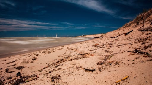 Elberta Beach, Elberta, Michigan