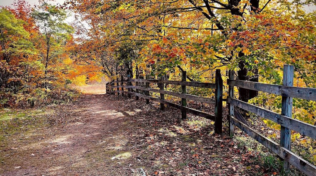 Jordan Valley Pathway