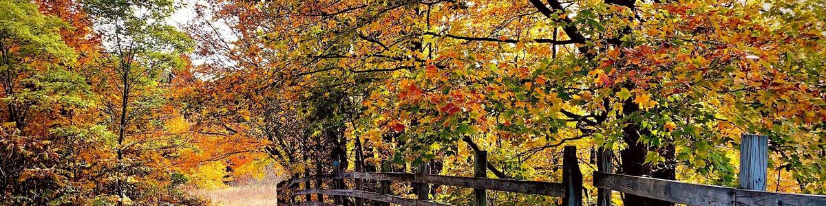 Jordan Valley Pathway