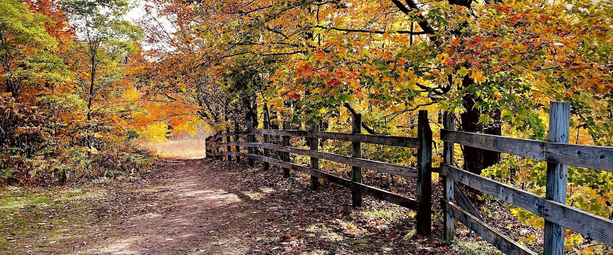 Jordan Valley Pathway