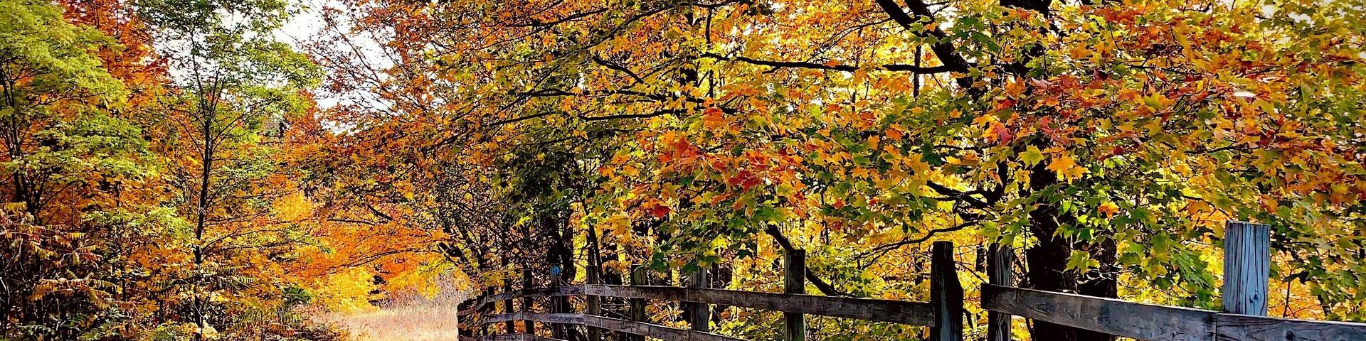 Jordan Valley Pathway