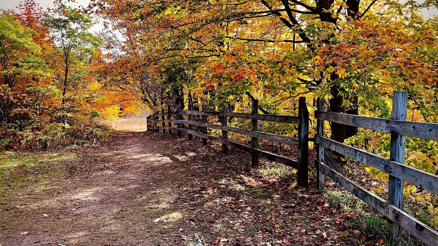 Jordan Valley Pathway