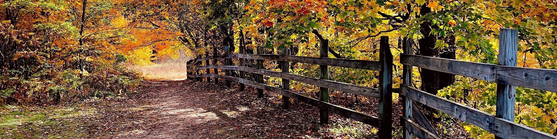 Jordan Valley Pathway