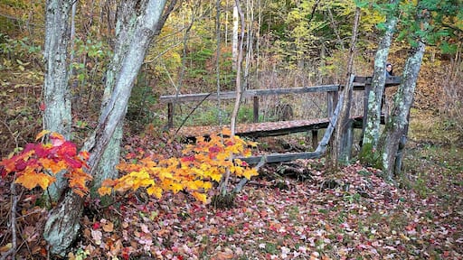 Jordan Valley Pathway Trail