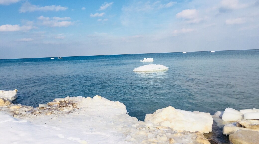 Snow makes the nature speak