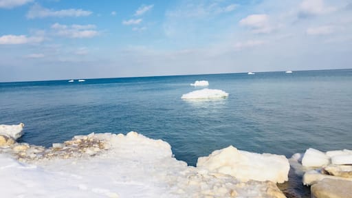 Snow makes the nature speak