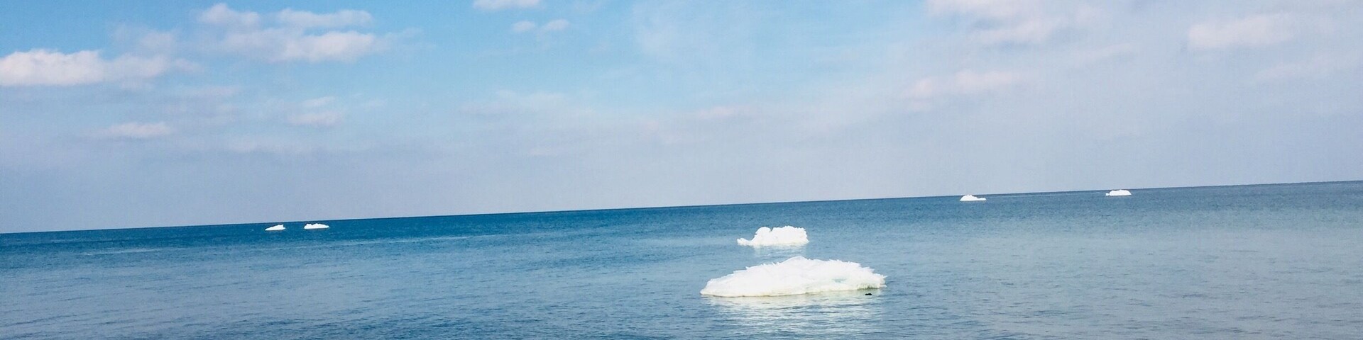 Snow makes the nature speak