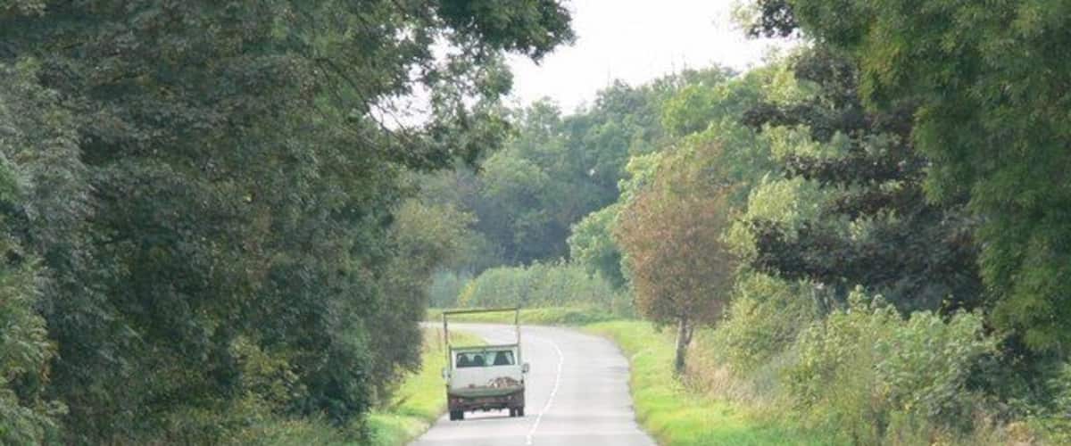 A rural road flanked by trees and vegetation.