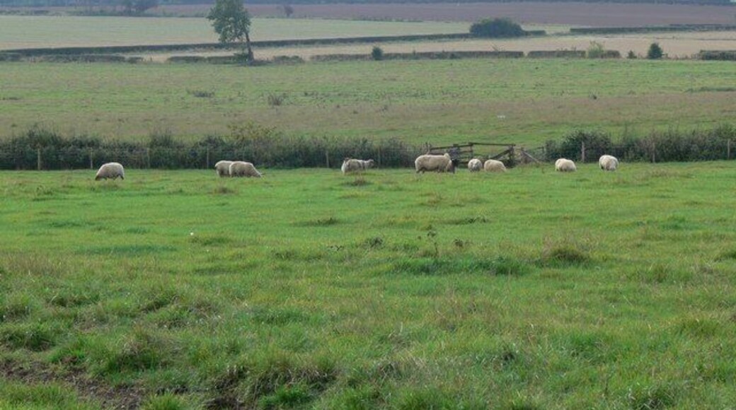 Leicestershire countryside This area of flat farmland is near Bowden Road in south Leicestershire.