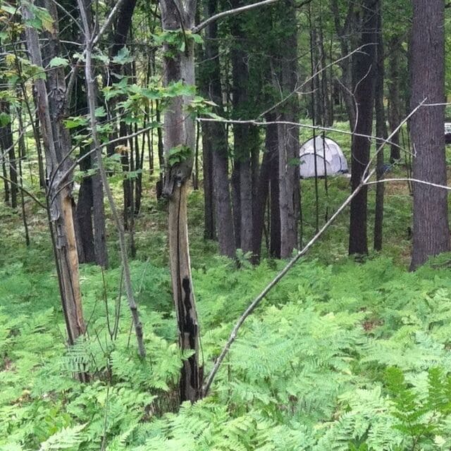 Part of Manistee National Forest,  and the Nordhouse Dunes. On Lake Michigan.  Great hiking and general camping and relaxing. Easy to be alone on a beautiful beach. Used to be relatively unknown, now overcrowded on weekends. 
