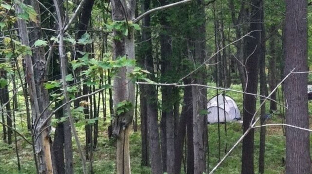 Part of Manistee National Forest, and the Nordhouse Dunes. On Lake Michigan. Great hiking and general camping and relaxing. Easy to be alone on a beautiful beach. Used to be relatively unknown, now overcrowded on weekends.