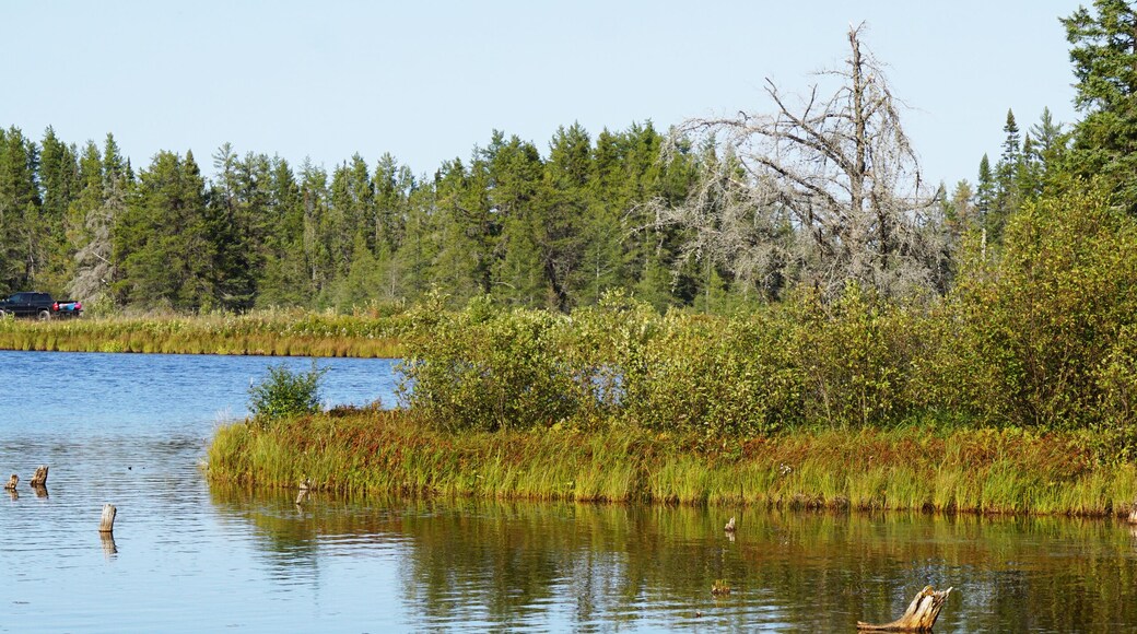 ジャームファスク