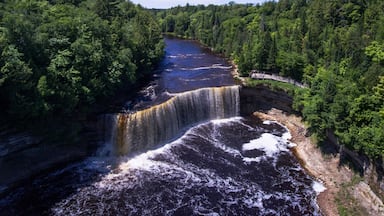 A waterfall cascading into a river surrounded by dense forest.