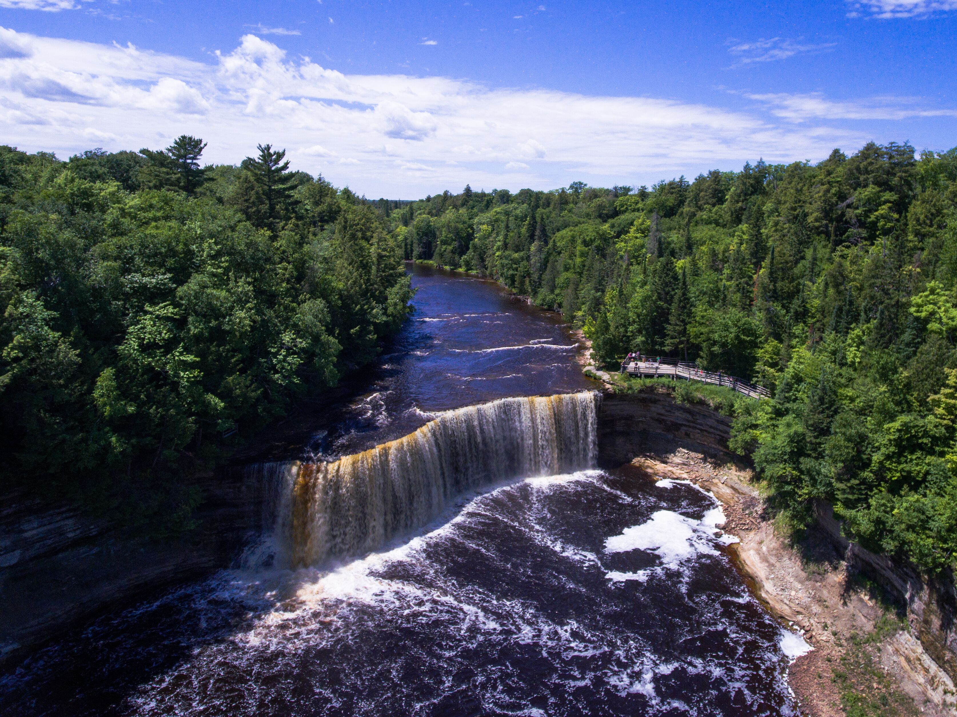 A waterfall cascading into a river surrounded by dense forest.