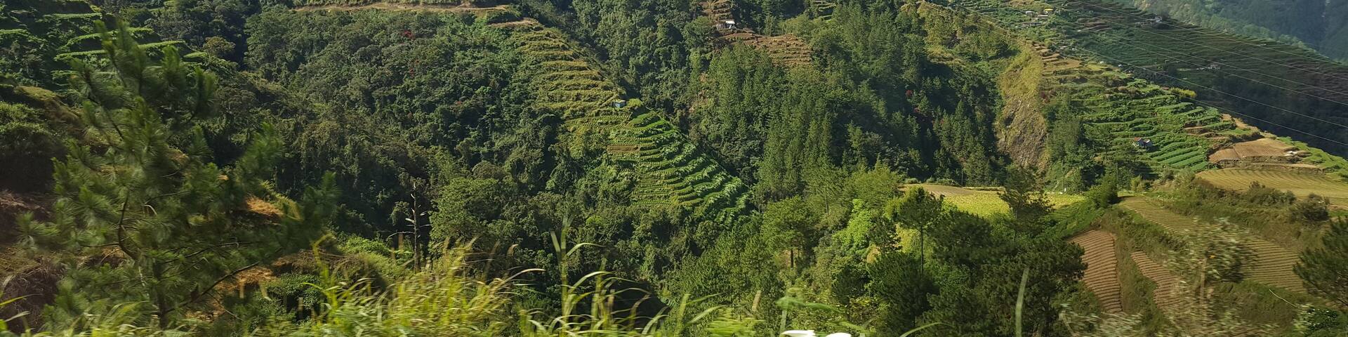 Mountains view