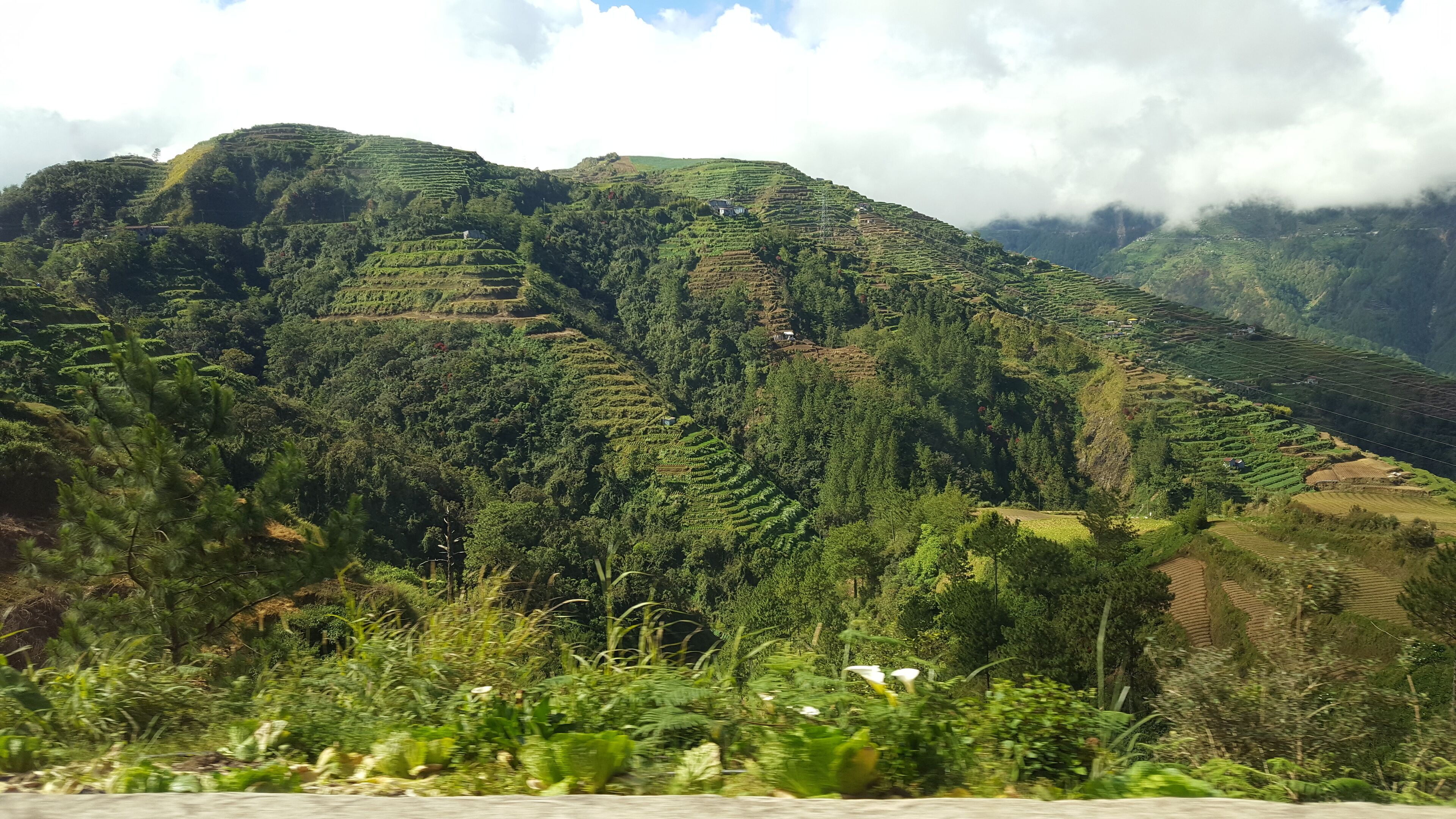 Terraced hills with dense vegetation and scattered houses.