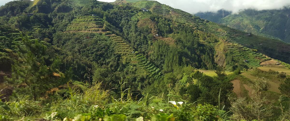Terraced hills with dense vegetation and scattered houses.